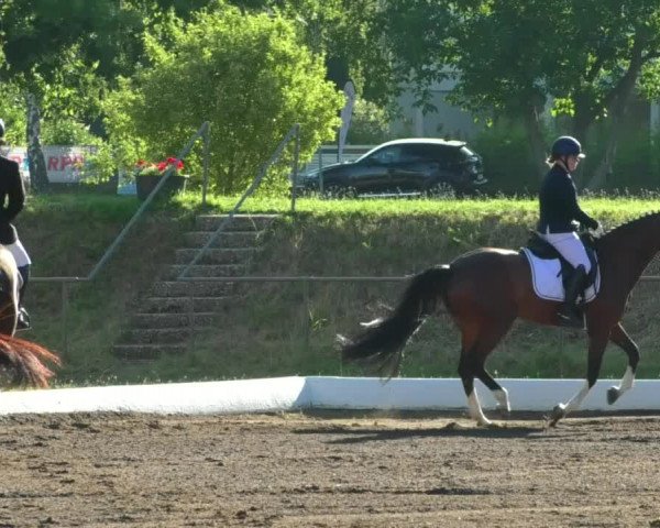 Reitturnier Wiesloch 2019