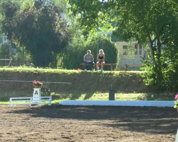 Reitturnier Wiesloch 2019