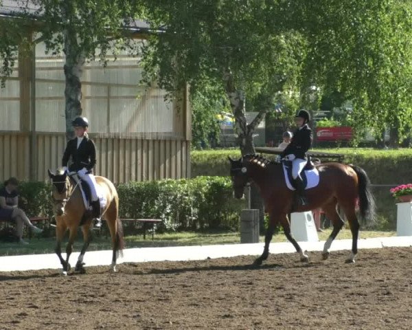 Reitturnier Wiesloch 2019