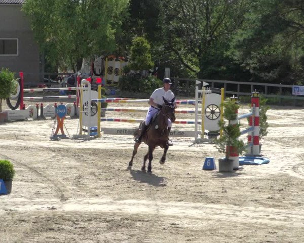 Reitturnier Kalenborn Hegehof 2019