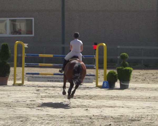 Reitturnier Kalenborn Hegehof 2019