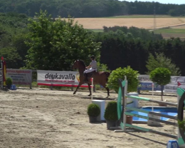 Reitturnier Kalenborn Hegehof 2019