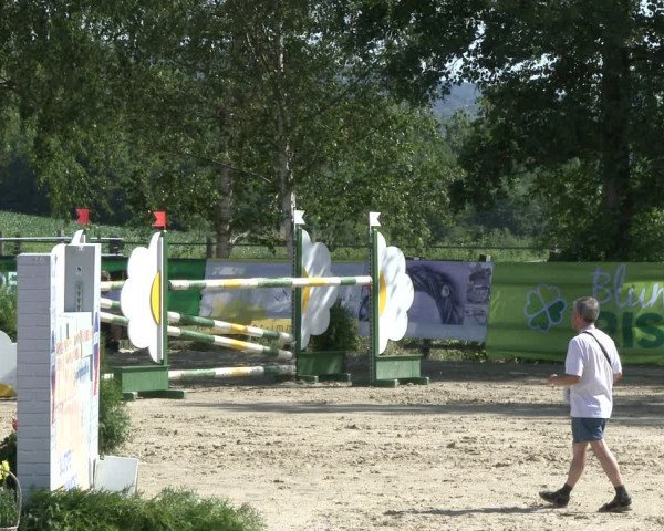 Reitturnier Schwerte-Gut Kückshausen 2019