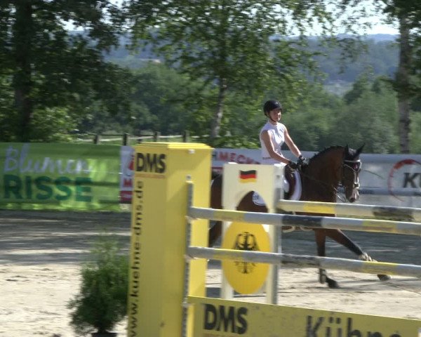 Reitturnier Schwerte-Gut Kückshausen 2019