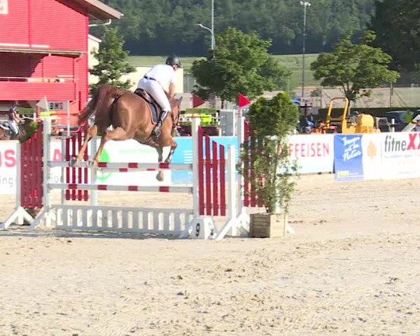 Reitturnier Balsthal 2019