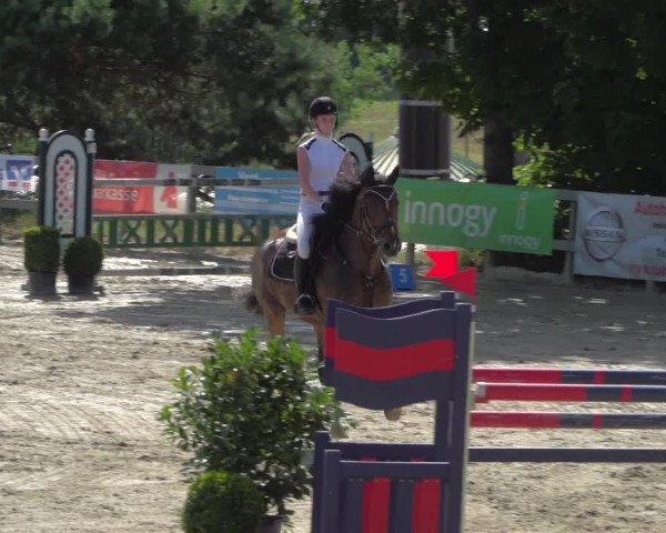 Reitturnier Kalenborn Hegehof 2019