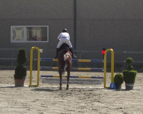 Reitturnier Kalenborn Hegehof 2019