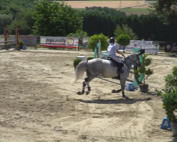 Reitturnier Kalenborn Hegehof 2019