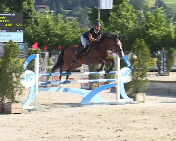 Reitturnier Balsthal 2019