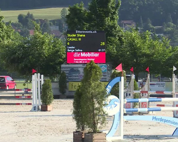 Reitturnier Balsthal 2019