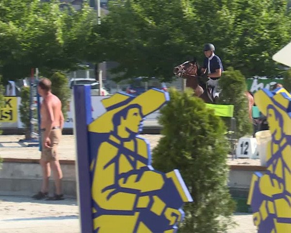 Reitturnier Balsthal 2019