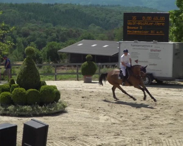 Reitturnier Kalenborn Hegehof 2019