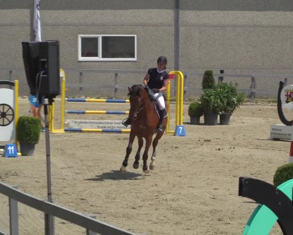 Reitturnier Kalenborn Hegehof 2019