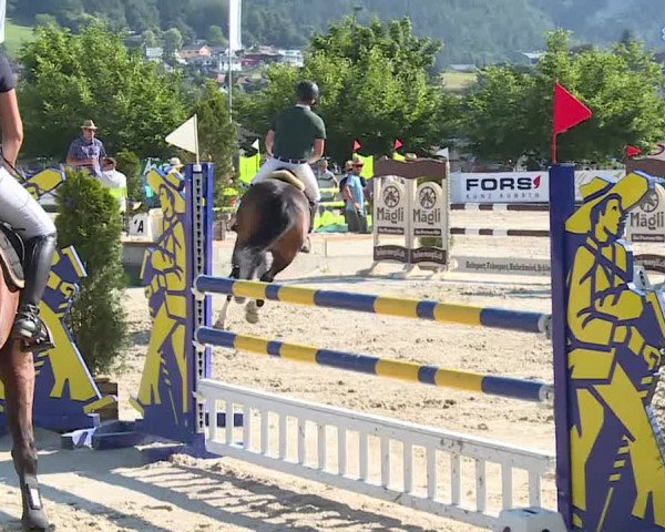 Reitturnier Balsthal 2019