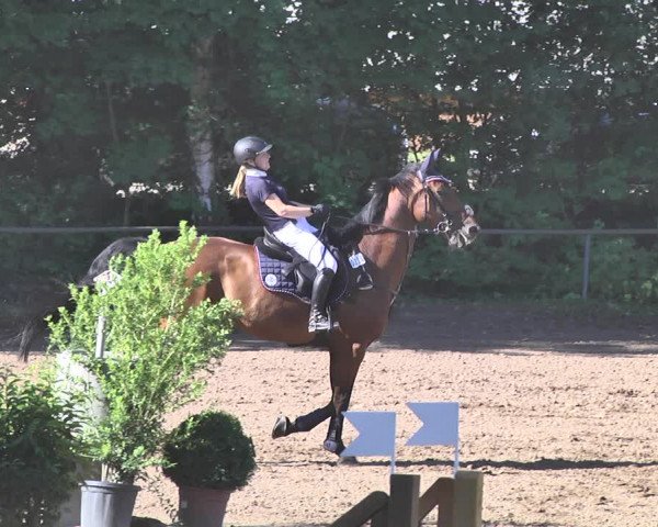 Reitturnier Wiesloch 2019