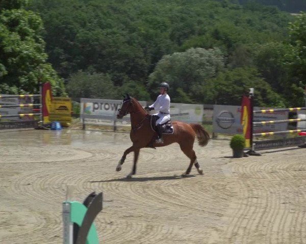 Reitturnier Kalenborn Hegehof 2019