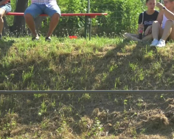 Reitturnier Wiesloch 2019