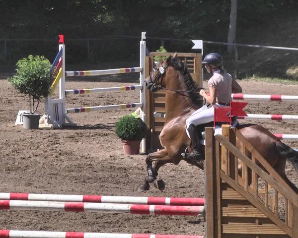 Reitturnier Wiesloch 2019