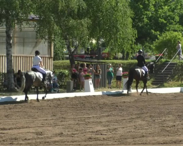 Reitturnier Wiesloch 2019