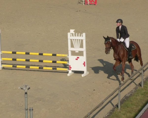 Reitturnier Leingarten 2021