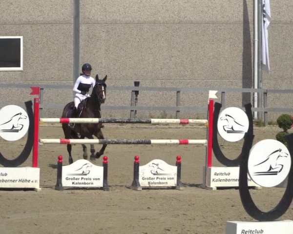 Reitturnier Kalenborn Hegehof 2019