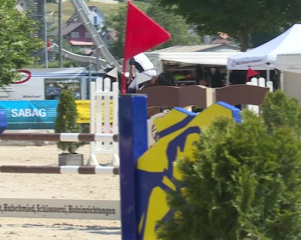 Reitturnier Balsthal 2019