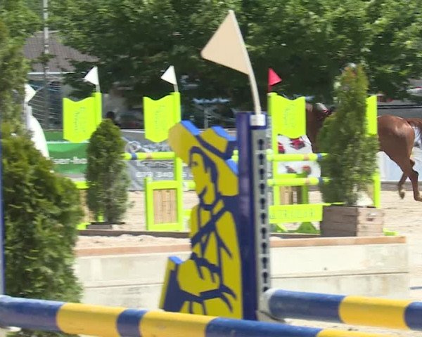 Reitturnier Balsthal 2019