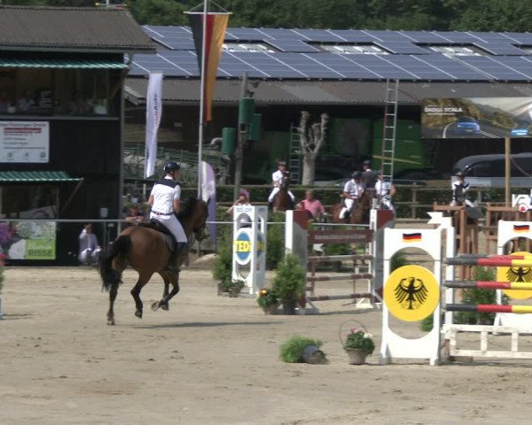 Reitturnier Schwerte-Gut Kückshausen 2019