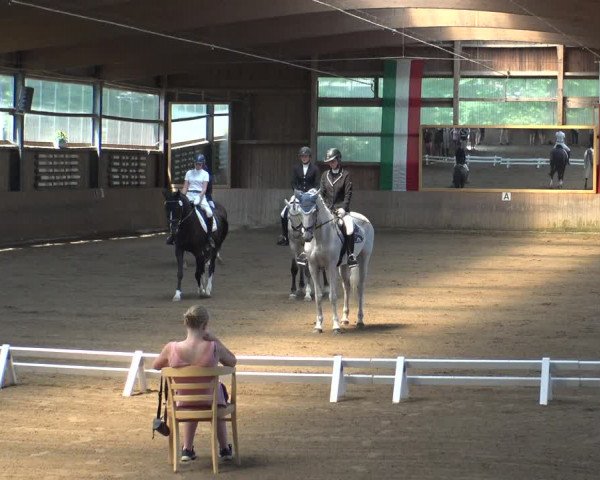 Reitturnier Schwerte-Gut Kückshausen 2019