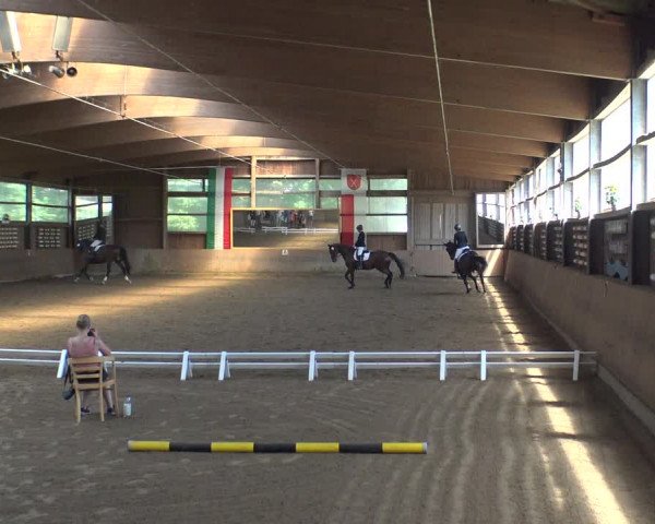 Reitturnier Schwerte-Gut Kückshausen 2019