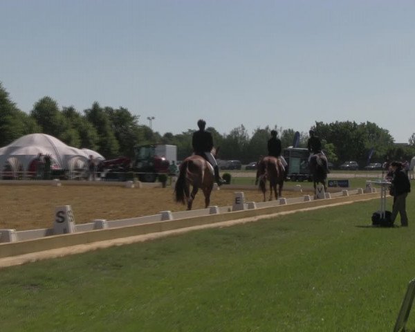 Reitturnier Vorsfelde 2019