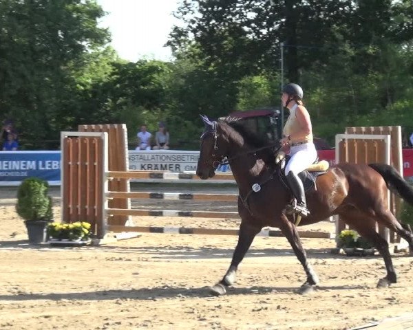 Reitturnier Remscheid 2019