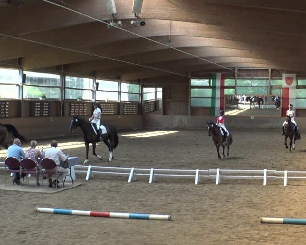 Reitturnier Schwerte-Gut Kückshausen 2019