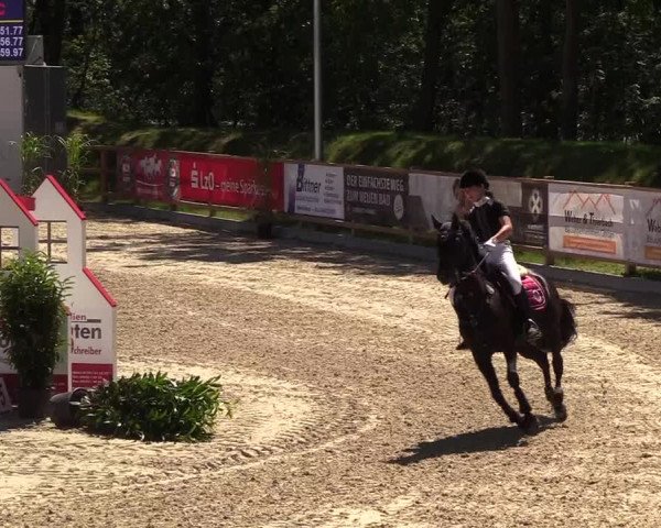 Reitturnier Höven 2019
