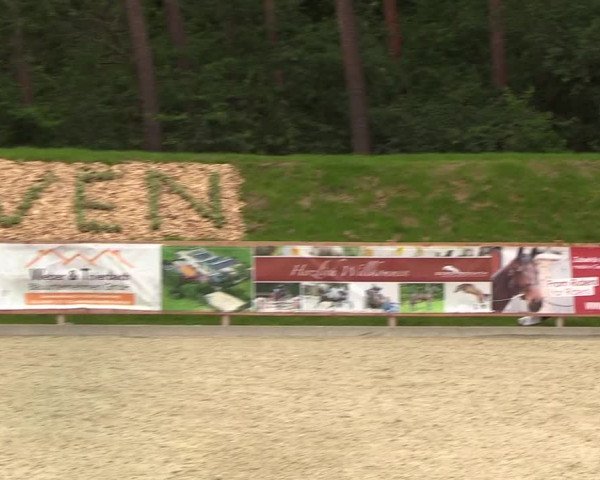 Reitturnier Höven 2019