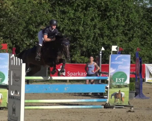 Reitturnier Remscheid 2019