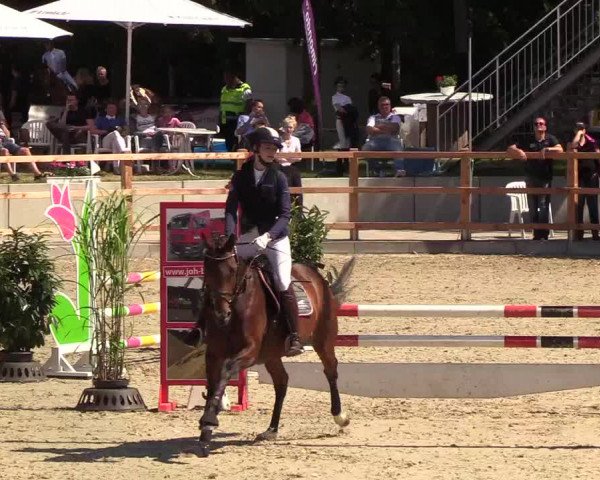 Reitturnier Höven 2019