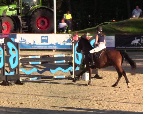 Reitturnier Höven 2019