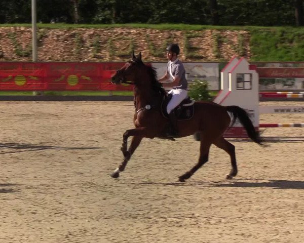 Reitturnier Höven 2019