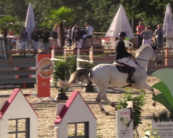 Reitturnier Höven 2019