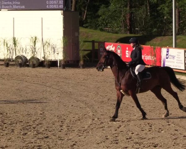 Reitturnier Höven 2019
