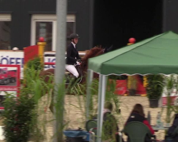 Reitturnier Höven 2019