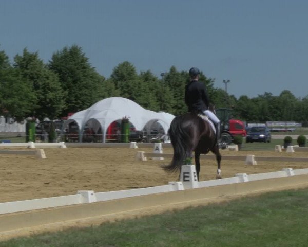Reitturnier Vorsfelde 2019