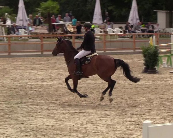 Reitturnier Höven 2019