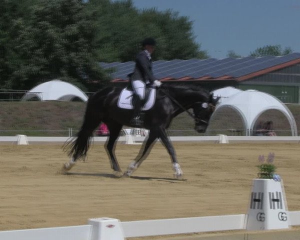 Reitturnier Vorsfelde 2019