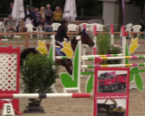 Reitturnier Höven 2019