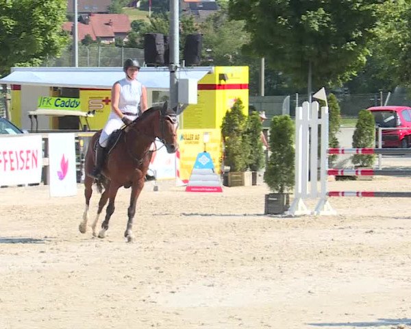 Reitturnier Balsthal 2019