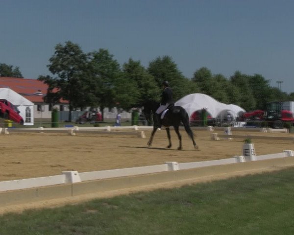 Reitturnier Vorsfelde 2019