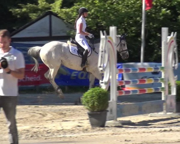 Reitturnier Remscheid 2019