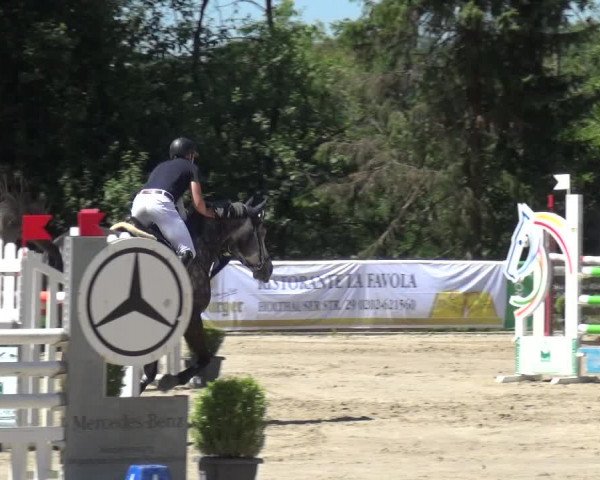 Reitturnier Remscheid 2019